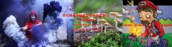 индика Мегион