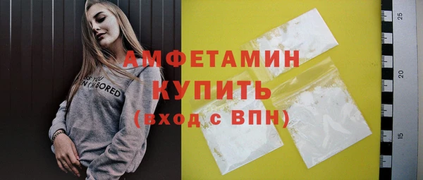 индика Мегион