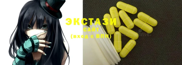 индика Мегион