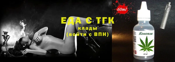 индика Мегион