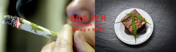 индика Мегион