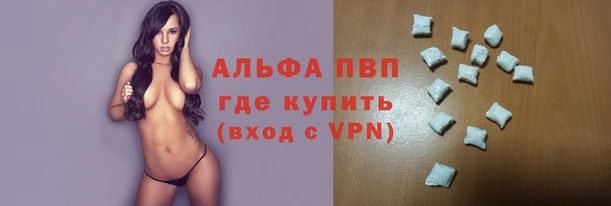 индика Мегион