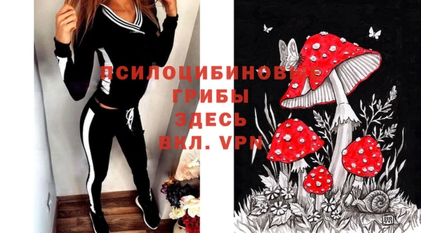 наркотики Медвежьегорск