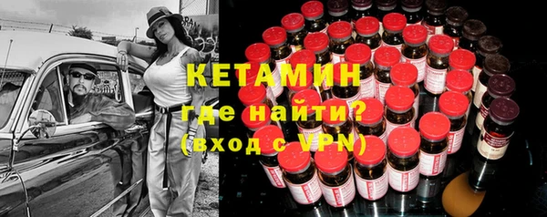 индика Мегион
