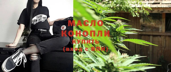 индика Мегион